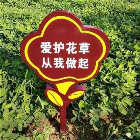 爱护花草   从小做起