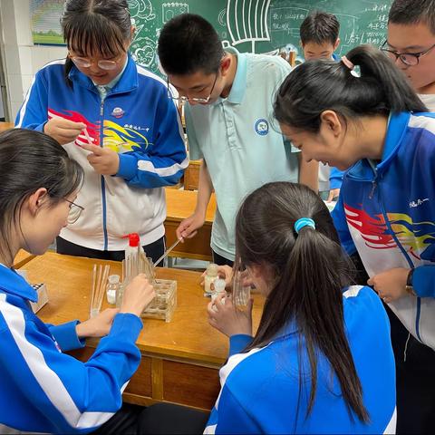 各有千秋的物质｜西安市远东第一中学化学万花筒学生社团活动纪实