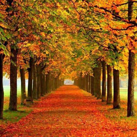 七年级组班级文化展示总结及讲学稿教学评价培训会