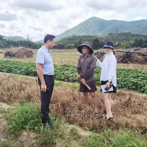 南丁村加强做好秸秆禁烧工作