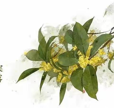 风寒露重秋更浓——临涧镇马槽幼儿园二十四节气之寒露系列活动