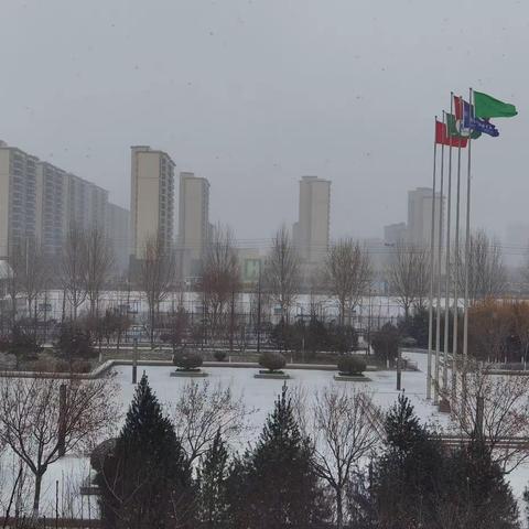 天寒地冻冰雪日，师生扫雪护安全-寿光世纪东城学生扫雪记