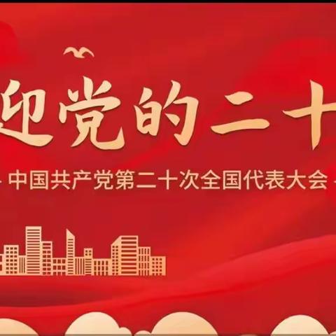 朱家川小学党支部学习党的二十大精神纪实