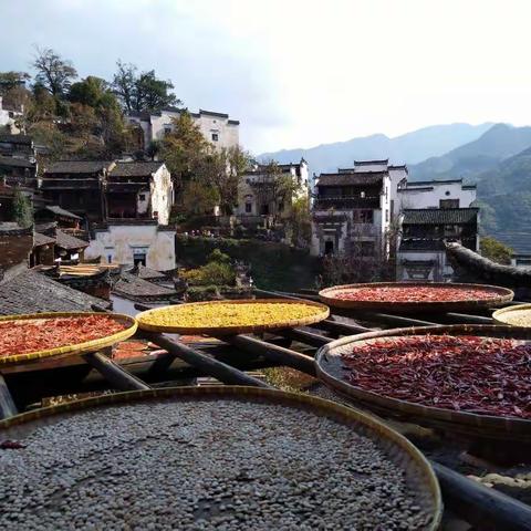 梦里老家踏秋之旅—婺源