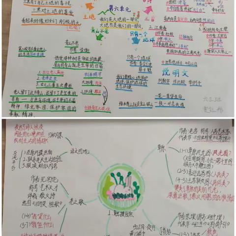 【宝小·特色作业】“语”见导图，“思维”花开——宝平路小学六三班参加区级思维导图比赛纪实