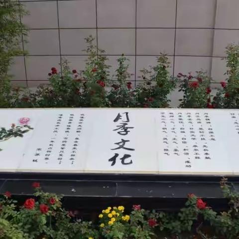 长庆未央湖学校月季学子复学归来 线上线下教学同步行