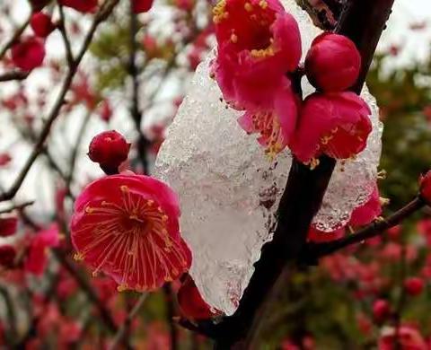 磨难压不垮，奋起正当时