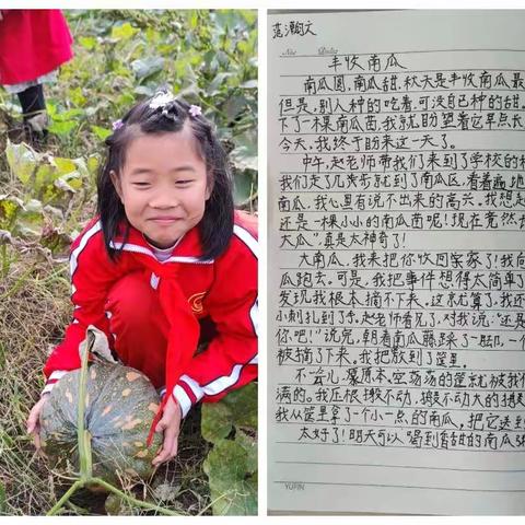 我和南瓜有个约会——曲阜小学劳动周举行南瓜收获节活动