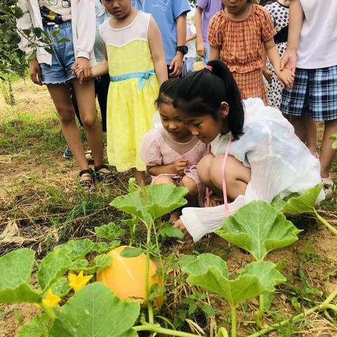 心手相连，精彩童年从这里起航--曲阜小学幼小衔接活动丰富多彩