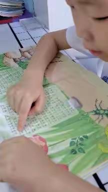 乐享双减·“暑”你精彩——徐州市汉景小学一（3）班吴禹翰暑期生活精彩展示