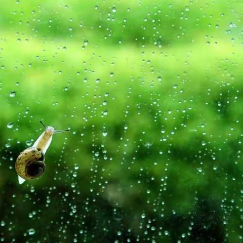 用每一点进步装点金秋十月