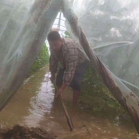 防汛抗洪，人民至上