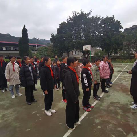 爱校爱家，红领巾在行动