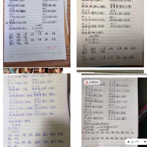 【龙源教育】陌上花开 不负韶华——焦作市龙源湖学校青年教师网上教学感受