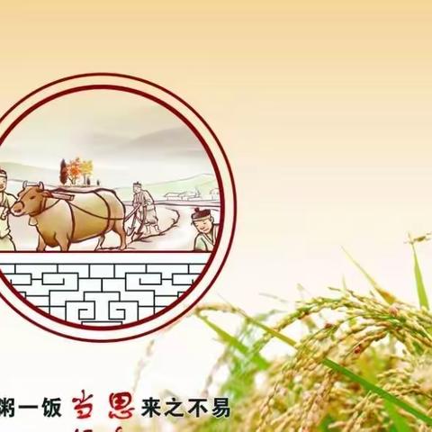 厉行节约，反对浪费——礼泉县叱干学校开展节约粮食教育活动