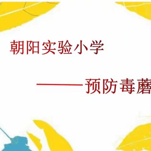 珍爱生命，谨防误食毒蘑菇——食品安全微课堂