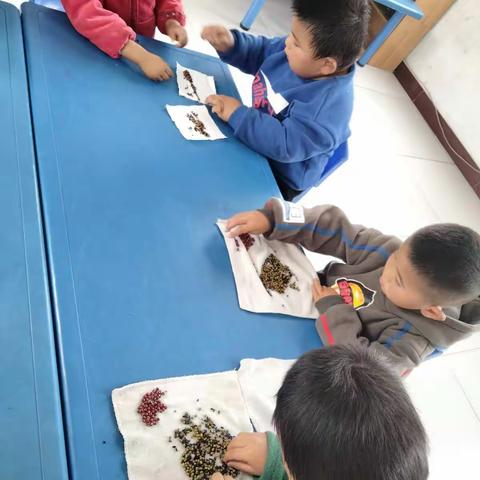 给豆宝宝分家----下河乡东李幼儿园幼小衔接活动