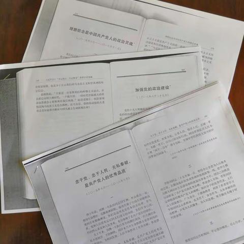 对党忠诚讲政治  加强学习促发展——延长县税务局举行“不忘初心、牢记使命”主题教育学习研讨会