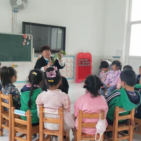 “园长妈妈和我有个约会”系列主题活动——《邂逅春天，向阳生长》之感受梨花之美