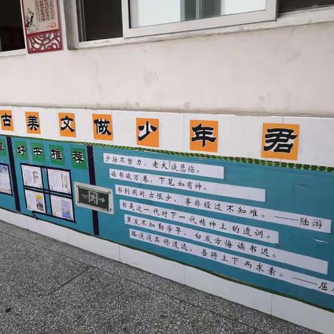 校园里一道亮丽的风景线--舞钢市第六小学文化长廊掠影