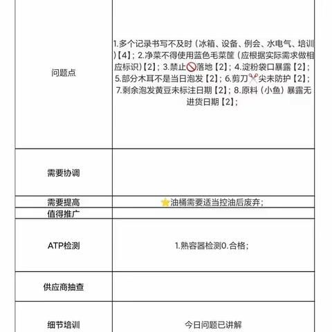 2022.12.2耀皮玻璃项目第三方飞行检查结果