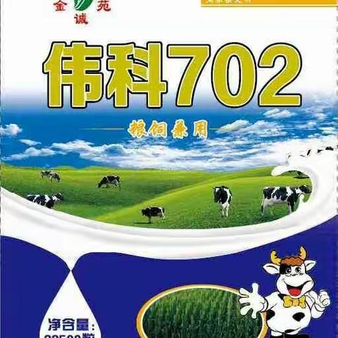 宝剑锋从磨砺出！梅花香自苦寒来！～伟科702 大户真喜爱！