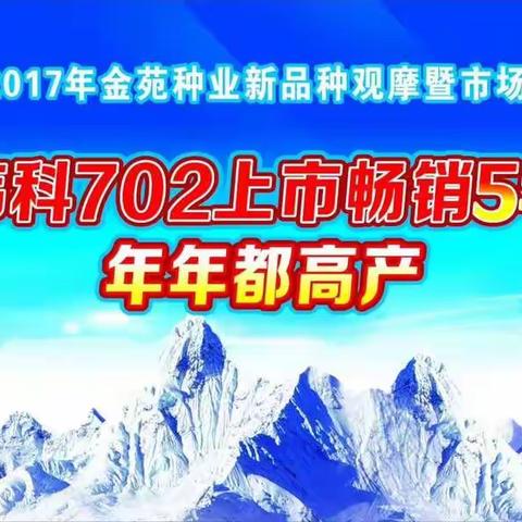 三系702 高产看得见！赛棒先行！势不可挡！--庆 烟台莱阳伟科702预定破千亩！