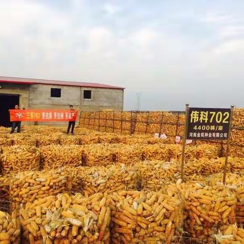 金苑营销传美誉 三系702创佳绩～暨胶东市场兑现活动火爆开展中！