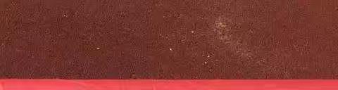 挑战自我，梦想起航——记黄田镇校502班运动会