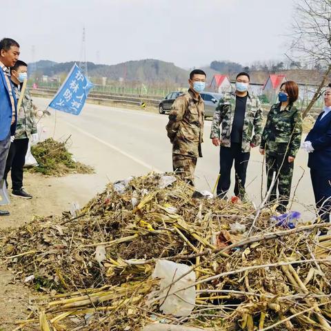 兰山乡政府联合抚顺市鸿蕴物业管理有限公司开展环境净化清洁日活动