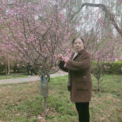 春来早