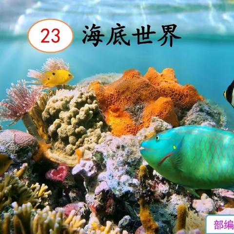 23 海底世界