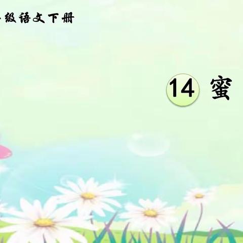 14 《蜜蜂》