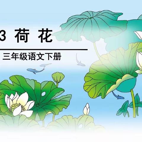 3 《荷花》