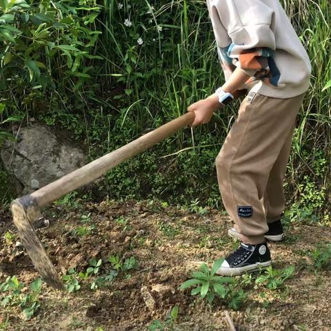 我五一假期的劳动生活