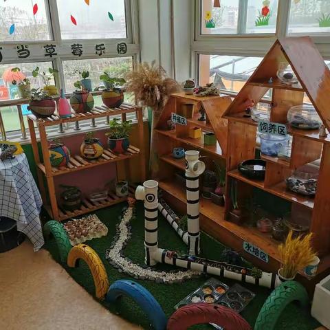 角落之美，自然之趣——徐州市汉襄佳苑幼儿园中二班的植物角