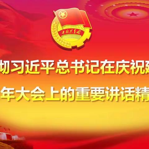 甘沟学校学习贯彻习近平总书记在庆祝中国共产主义青年团成立100周年大会上的重要讲话精神