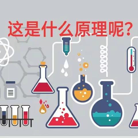 “水中开花，木筷搭桥”——徐官幼儿园大班科学活动合辑