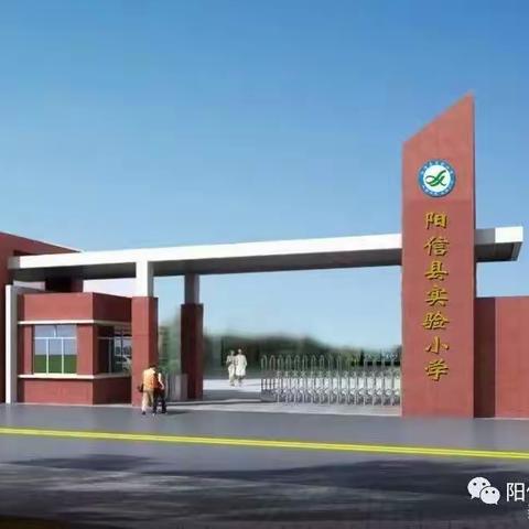 “线上教学助花开，居家学习盼疫散”——阳信县实验小学线上教学活动纪实