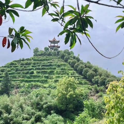 最美人间4月天，不负春光与时行