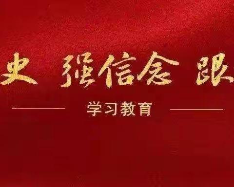 从小学党史，永远跟党走——善应镇党史教育进校园活动