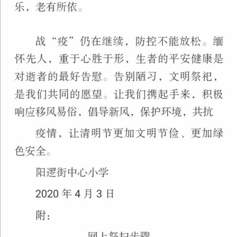 让“闪亮的名字”永驻心间—阳逻街中心小学清明节活动总结