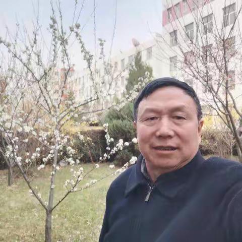 又是一年杏花白