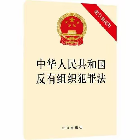 与法同行，共筑平安——大风车紫御东郡幼儿园《反有组织犯罪法》普法宣传