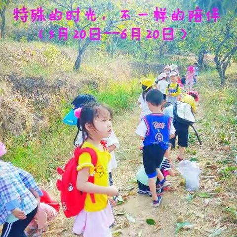 特殊的时光，不一样的陪伴——平湖乡中心幼儿园学前教育宣传月主题系列活动