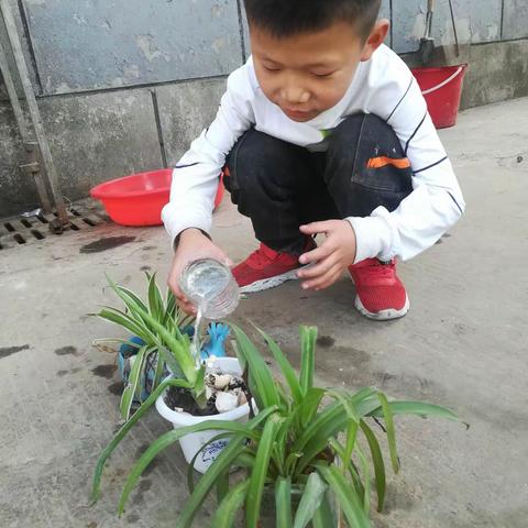 特殊的寒假～我爱劳动