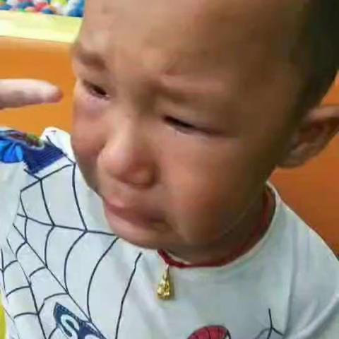 金鹰贝贝幼儿园小班九月成长记录