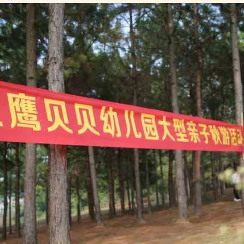 金鹰贝贝——小班成长记录