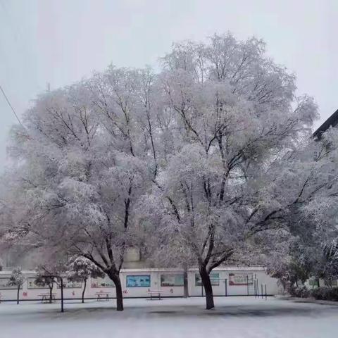 疫情当下守初心，线上教学显风采一实验小学一年级组线上教学纪实