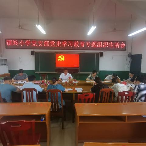 镇岭小学党支部开展党史学习  教育专题组织生活会